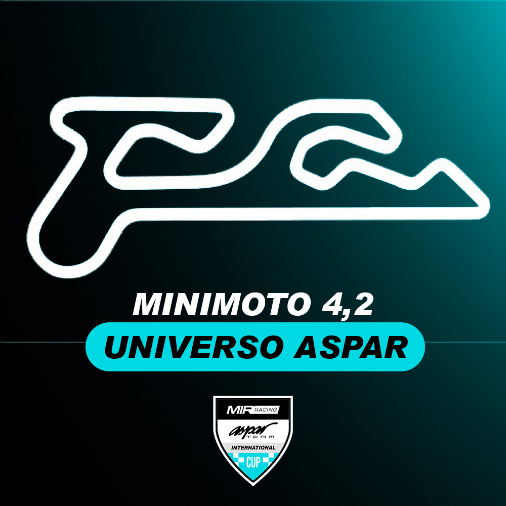 Presentación Minimoto